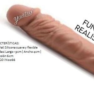 Funda realista
